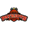爱国者BBC